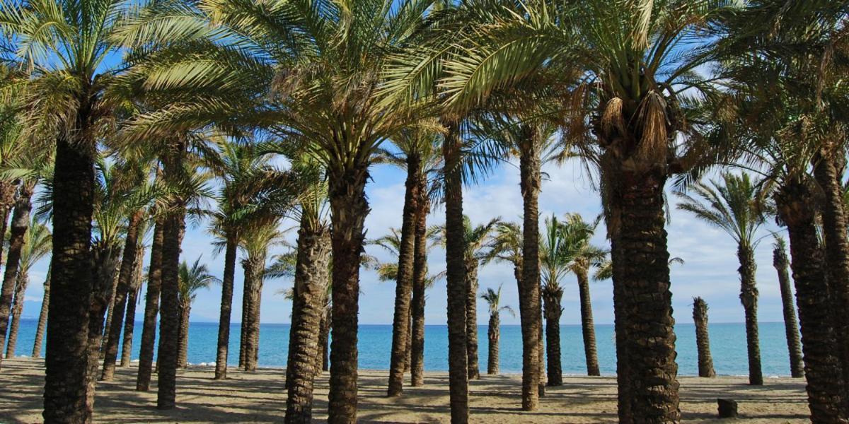 Apartamento Carole Playa Bajondillo Torremolinos Beach - Playa A 30 Segundos - Wifi - Parking - Terraza Apartment Bagian luar foto